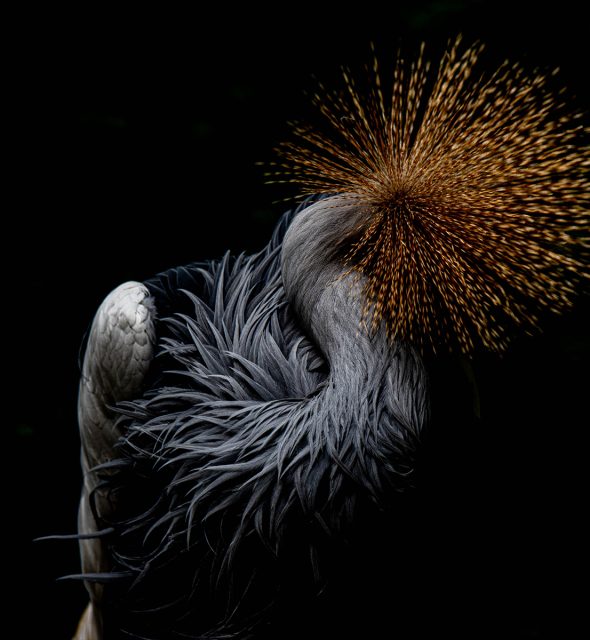 Gryneion Antik kenti